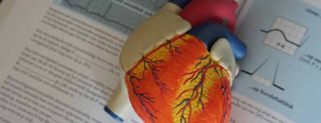 corazón de plástico sobre libro de medicina presión arterial alta hipertensión en ancianos