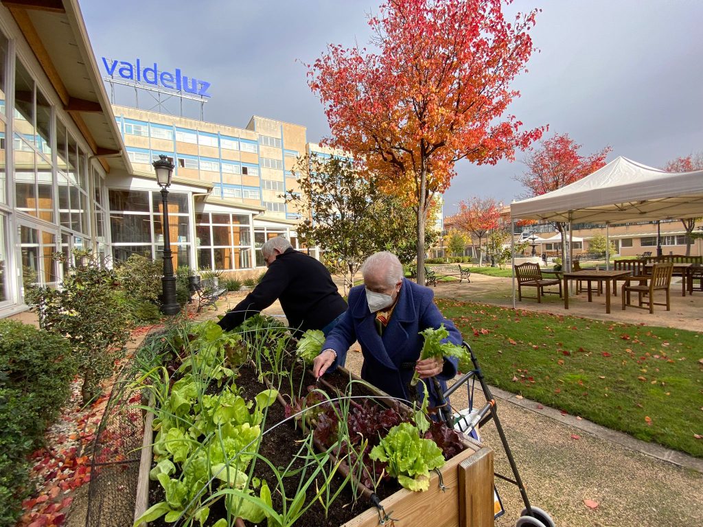 Valdeluz Ferial – Huertoterapia