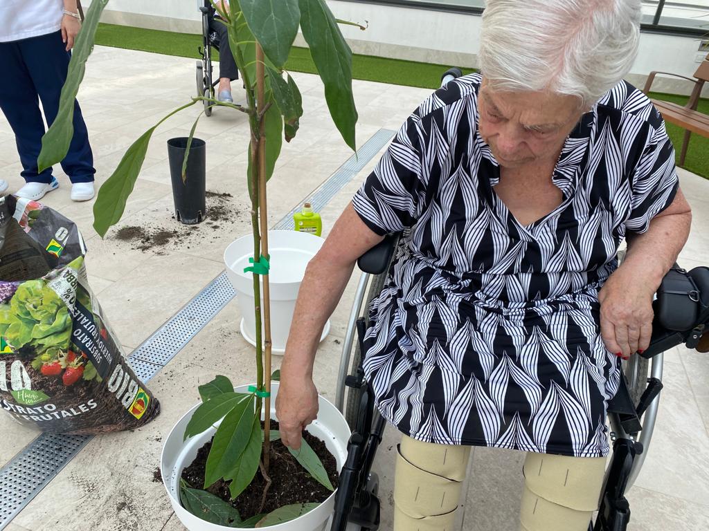 Valdeluz celebra el día mundial del árbol