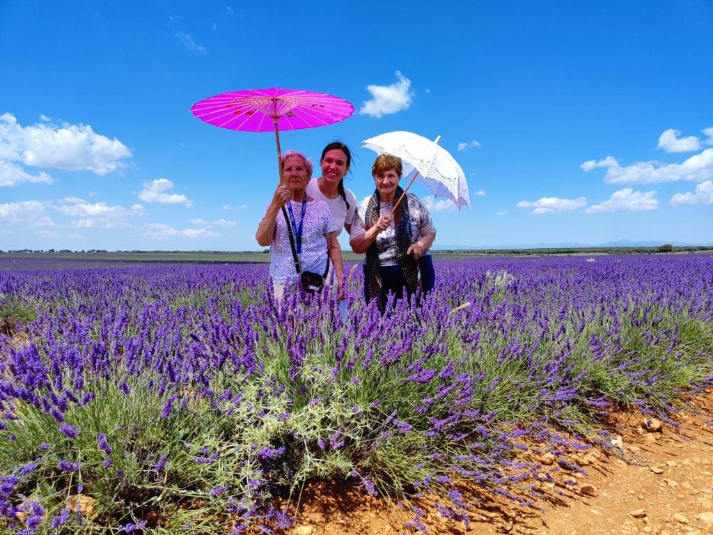 Excursión a Brihuega