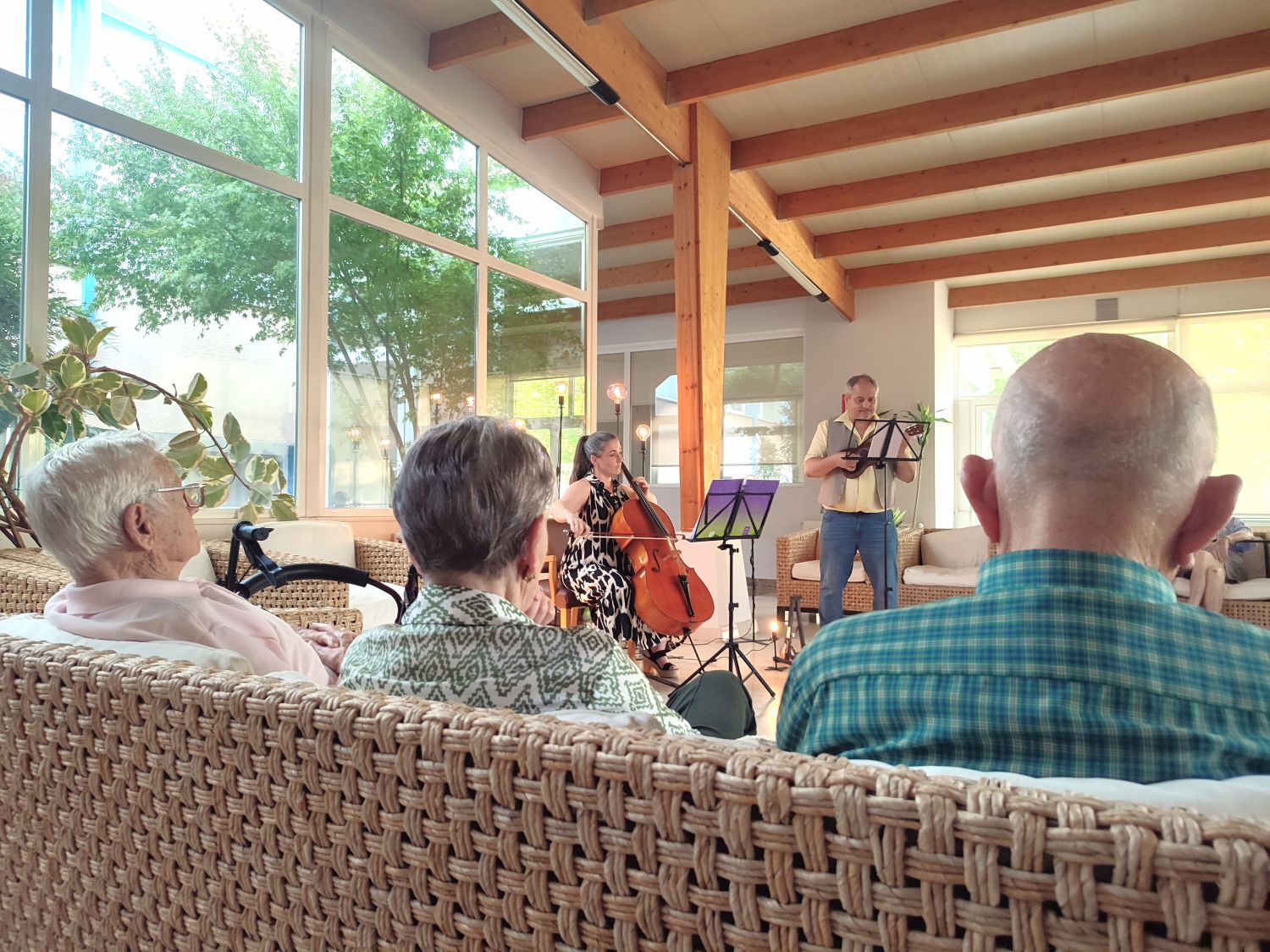 actuación musical web