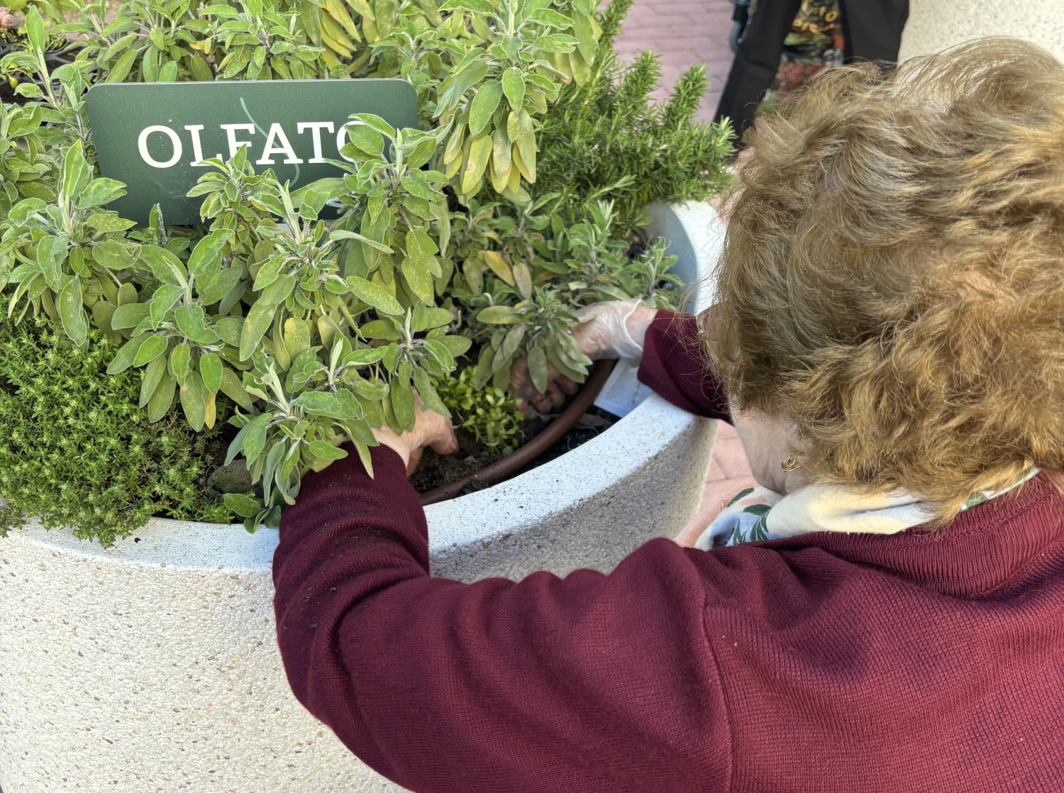 jardín terapéutico