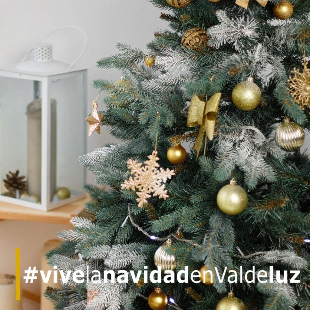 Nos preparamos para la Navidad