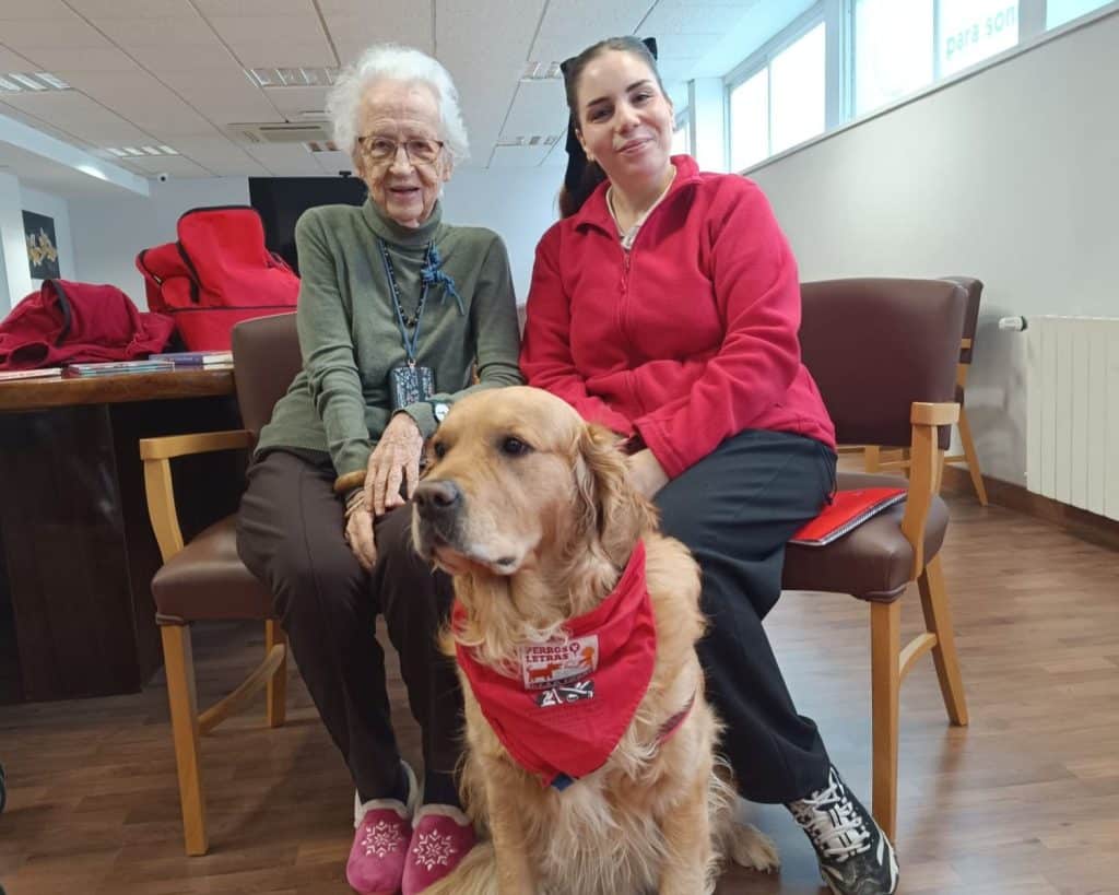 ACTIVIDAD CON PERROS Y LETRAS